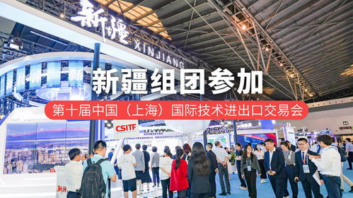 新疆组团参加第十届中国 上海 国际技术进出口交易会