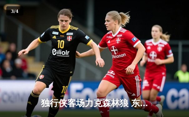 独行侠客场力克森林狼 东欧合砍66分夺赛点 - 3